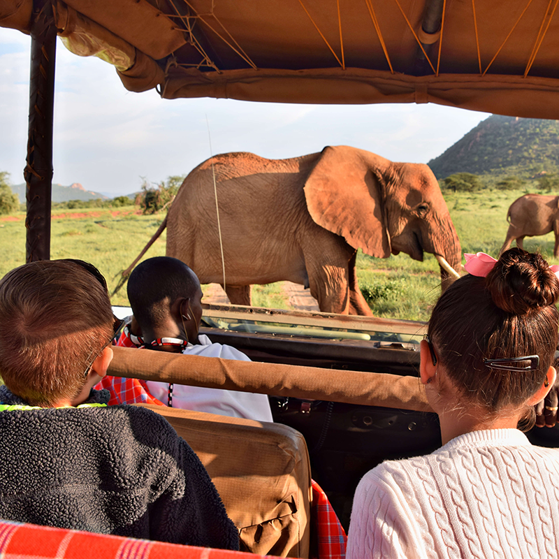 family safari in Africa